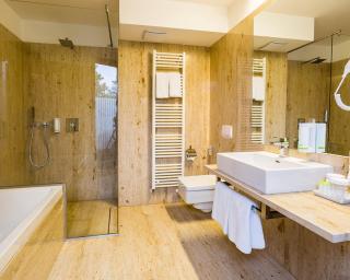 Amenity Hotel & Resort Lipno - Lipno nad Vltavou - 5