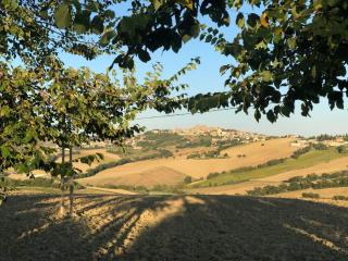B&B I Pini Di Storaco - Filottrano - 6