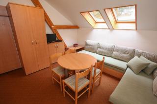 BIKE & SKI Apartmány Lopušná dolina - Vysoké Tatry - Vysoké Tatry - 9