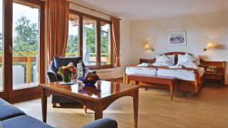 Schwarzwaldhotel Oberwiesenhof - Seewald - 4