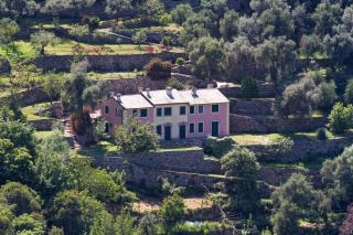 Villa Olivari - apt il Cedro - 9