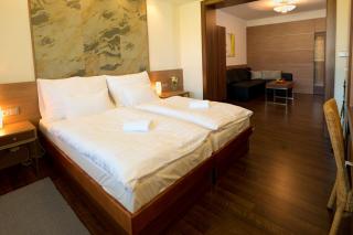 Hotel Bartoš - Frenštát pod Radhoštěm - 2