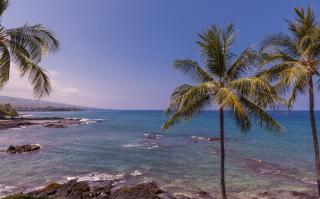Ali'i Point Spacious and Private Oceanfont Villa with A/C - Kailua-Kona - 8