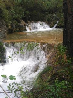 Oasis Country Park - 1