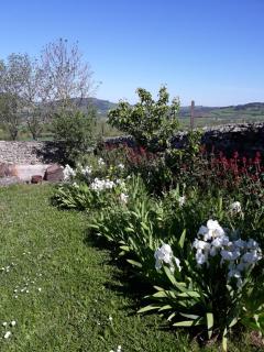 Suite romantique dans centre de bien-être Au chant de l'eau - 3