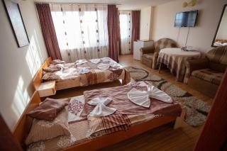 Vila Tei GuestHouse - Târgu Jiu - 5