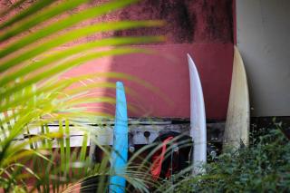 Harrys Oceanhouse 2 Pacitan - 1