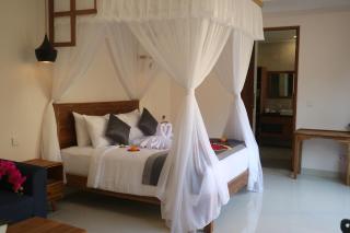 The Daryana Villa - Ubud - 7
