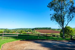 Dorrigo Mountain Holiday Park - Dorrigo - 5