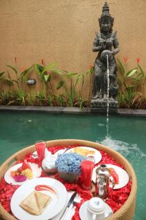 The Daryana Villa - Ubud - 3