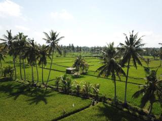 The Sawah Resort & Villa - Ubud - 1