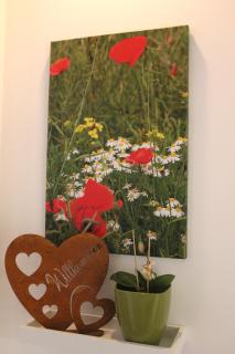 Das BilderbuchCafe - Ferien - Apartment NO 3 - Markt 7 - Havelberg - 9