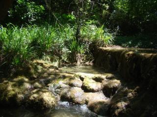 la ruche - Grospierres - 2