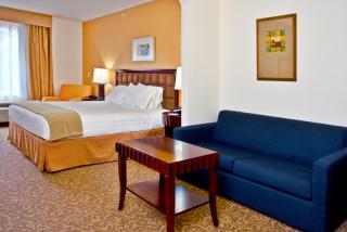 Holiday Inn Express Hotel & Suites Brooksville-I-75 by IHG - Ridge Manor - 9