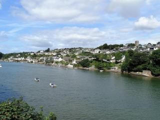 Junket Studio - Newton Ferrers - 9