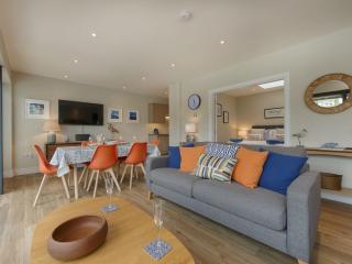 Junket Studio - Newton Ferrers - 5