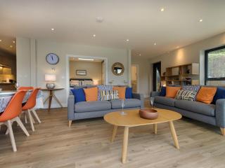Junket Studio - Newton Ferrers - 4