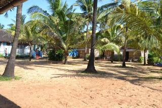 O Camarao - Calangute - 2