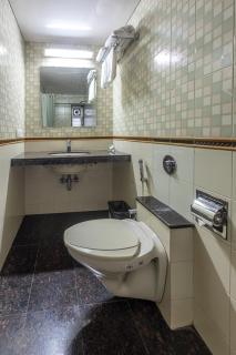 Hotel Ameya - Bombay - 2
