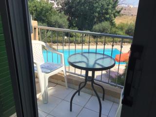 Olive Tree - Peyia - 8
