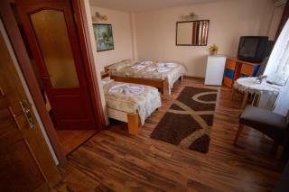 Vila Tei GuestHouse - Târgu Jiu - 7