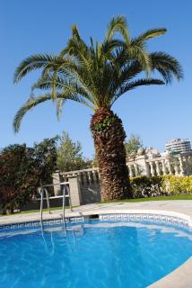 Hotel Bonsol ADULTS ONLY - 2