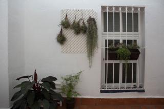 ESTUDIO EN ZONA CENTRO DE MALAGA - Málaga - 1