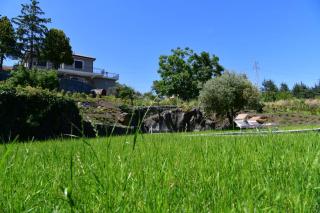 Casa di Sara - Zafferana Etnea - 2
