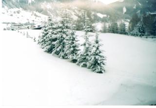 Haus Anna Jennewein - 4