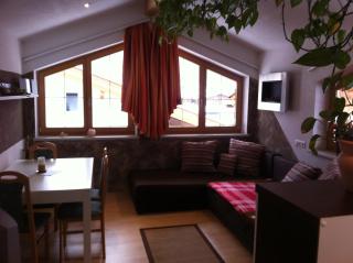 Haus Schiestl - Zell am Ziller - 8