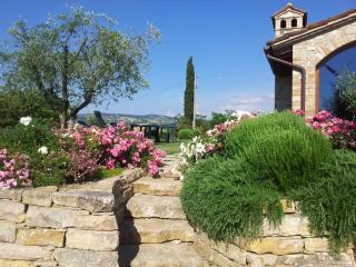 Agriturismo La Torraccia - Todi - 8