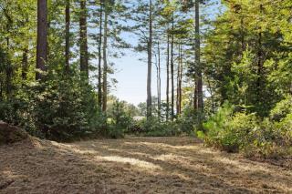 Tree House - Sea Ranch - 8