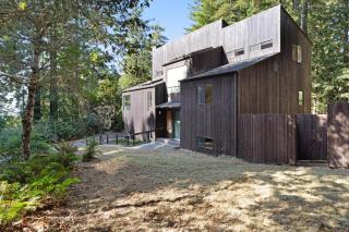 Tree House - Sea Ranch - 6