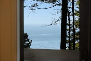 Tree House - Sea Ranch - 5