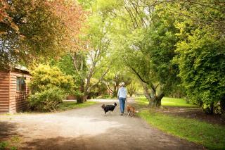 Johanna River Farm & Cottages - 0