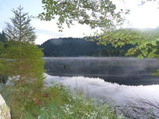 Domaine Des Hauts Viaux - 7