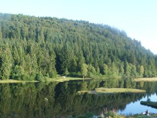 Domaine Des Hauts Viaux - La Bresse - 7