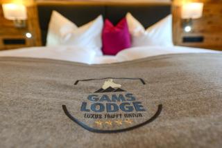 Gams Lodge - Goldegg - 0
