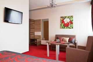 Hotel Politański - Rybnik - 5