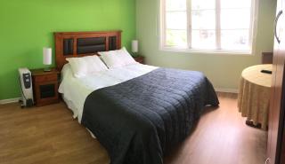 Eco Hostal Offenbacher-Hof - Viña del Mar - 4