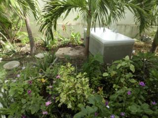 The Pool House - Saint Philip - 5