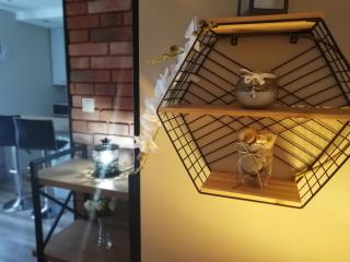 Papaver Apartament - Zielona Góra - 7