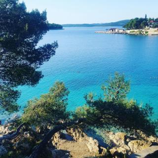 Apartment Zeljko - Maslinica - 6