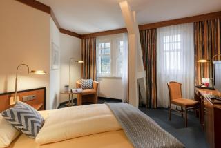 Hotel Neustädter Hof - Schwarzenberg/Erzgebirge - 9