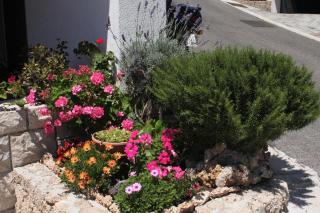 Apartments with a parking space Brela, Makarska - 6747 - 2