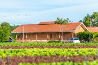 COOLLiving Farmhouse Organic - Wang Nam Khieo - 4