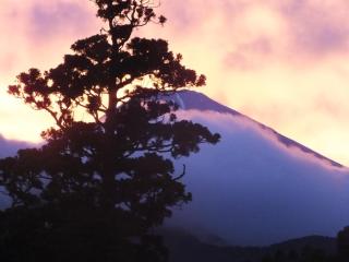 Hananoyado Fukuya - Hakone - 0