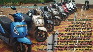 Lazy Frog Guest House - Cavelossim - 6