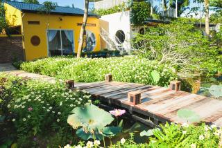 Binh Minh Eco Lodge - Can Tho - 1