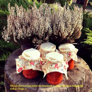 Farmstay Marianówka u Tesi - 1